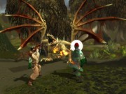 ギルド ウォーズ (Guild Wars)